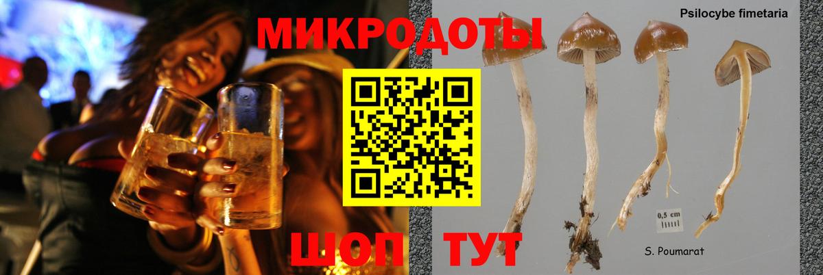 Железногорск  где продают   Вход с VPN  Псилоцибиновые грибы Magic Shrooms 